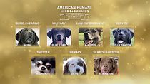 American Humane Hero Dog Awards: 10th Anniversary Celebration