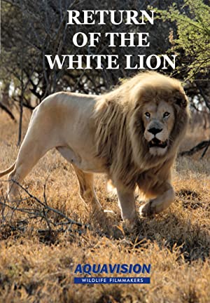 Return Of The White Lion