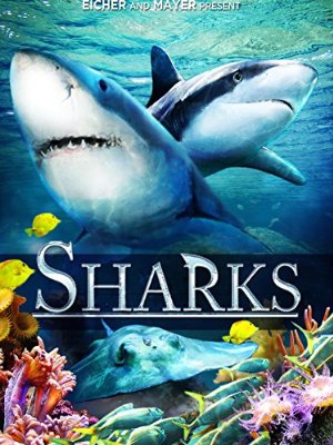 Sharks (in 3d)
