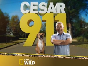 Cesar 911: Season 3