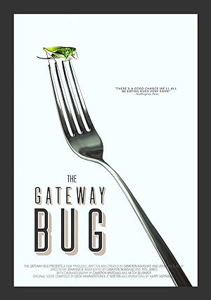 The Gateway Bug