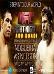 Ufc Fight Night 40 Nogueira Vs Nelson