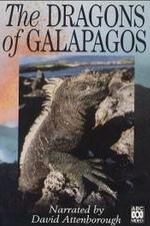 The Dragons Of Galapagos
