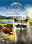 World Natural Heritage Usa 3d Yellowstone