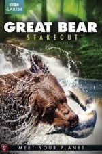 Great Bear Stakeout: Season 1