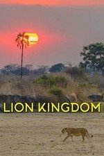 Lion Kingdom: Season 1