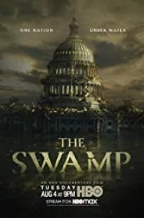 The Swamp